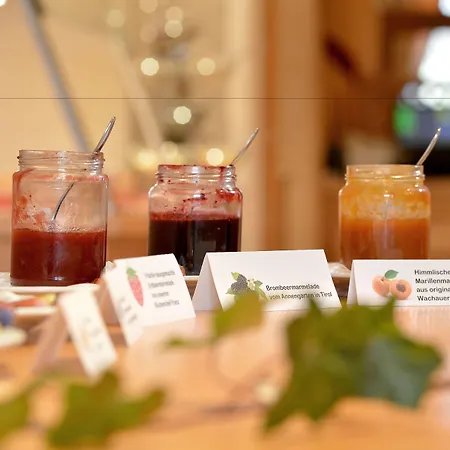 By Franz - Alpine Apartments In Kirchberg Apartment *